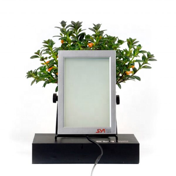 Vorhangwand Verbundsicherheitsglas Vorhangwand Verbundsicherheitsglas