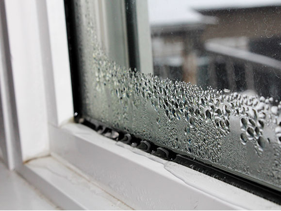 Condensation Resistance: Glass, Spacer, Frame, and Humidity Guide